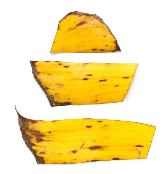Dried banana leaf . — Stock Photo, Image