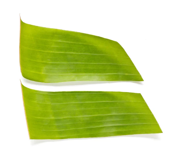 Banana leaves. — Stock Photo, Image