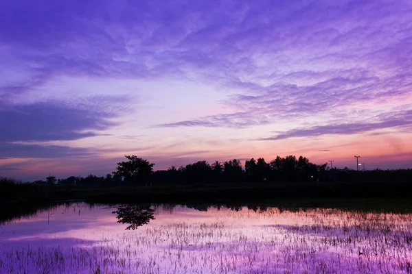 Coucher de soleil incroyable — Photo