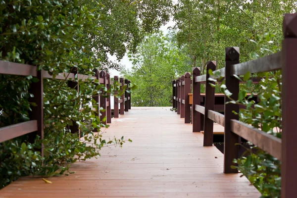 Wooden walkway i — Stock Photo, Image