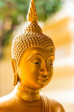 Altın buddha heykeli