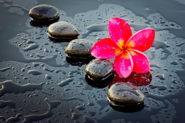 Sağlık için kırmızı adenium çiçek ve spa taşı.