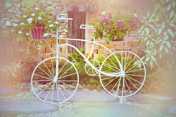 빈티지 자전거 — 스톡 사진