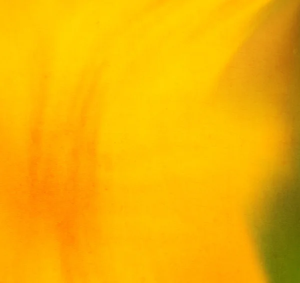 Желтый фон — стоковое фото