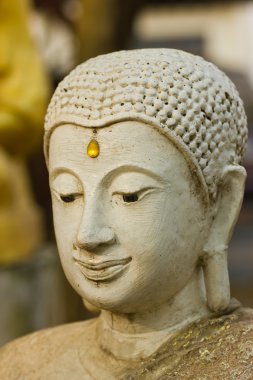 Beyaz Buda.