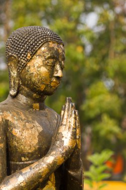 eski siyah Buda heykeli.