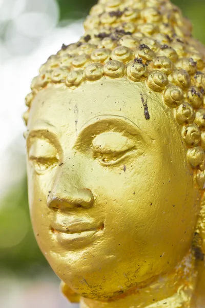 Gamla guld buddha staty. — Stockfoto