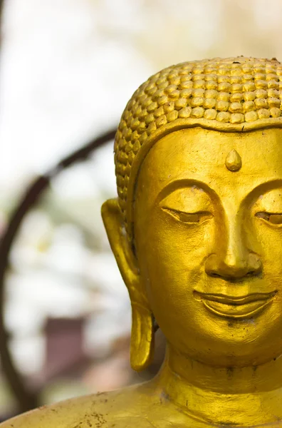 Gouden Boeddha. — Stockfoto
