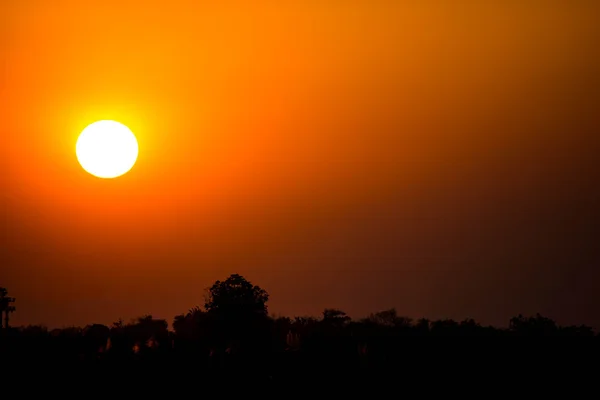 Solnedgang. – stockfoto