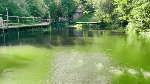 Lago verde com molas — Vídeo de Stock
