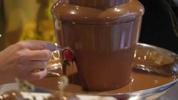 Chocolate fondue fountain — Stock Video