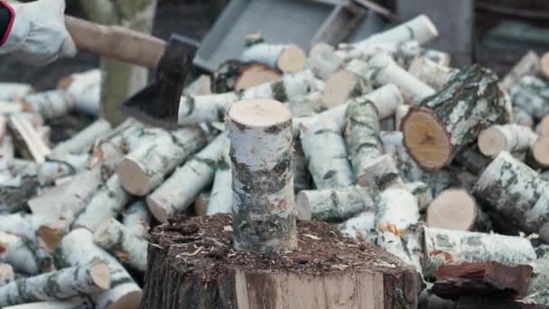 Chopping wood slow motion — Stock Video