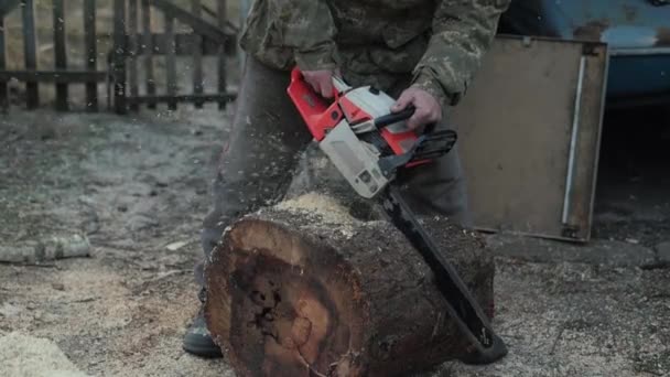 切り木のスローモーション — ストック動画