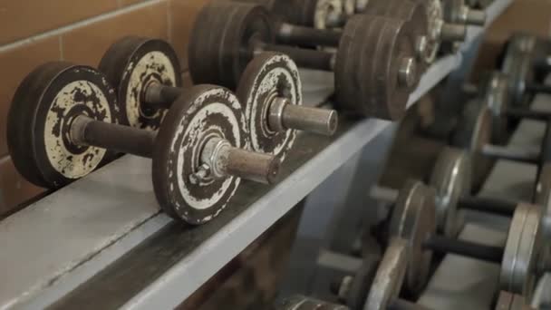 Baris dumbbells — Stok Video