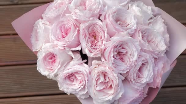 Hermosa peonía rosa — Vídeos de Stock