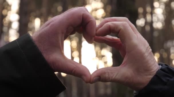 Dedos del gesto del corazón — Vídeo de stock