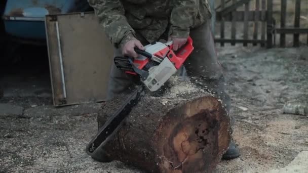 锯断旧树桩慢动作 — 图库视频影像