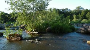 Taşlı bir dağ nehri manzarası. Nehirde büyük taşlar var. Suya yakın yeşil ağaçlar ve çalılar.