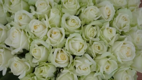 Blooming White Light Green Roses Bouquet Top View Background Beautiful — Vídeo de stock