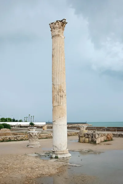 Antonine Baths roman column — Stock Photo, Image