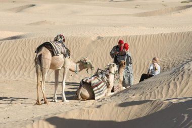 Sahara Develer