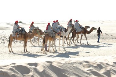 turistler rideing deve, Sahra