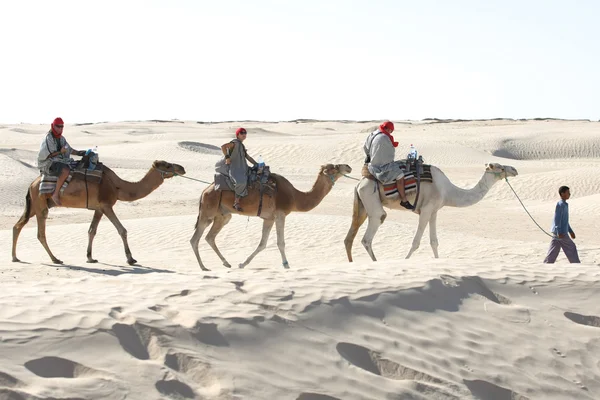 Turisti cavalcando cammelli — Foto Stock