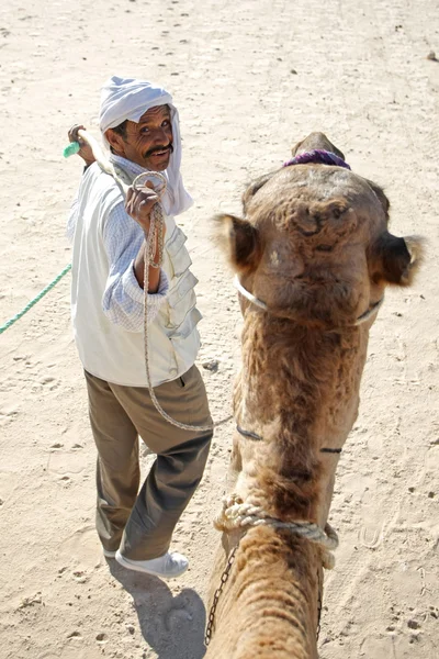 Beduin marchant — Photo