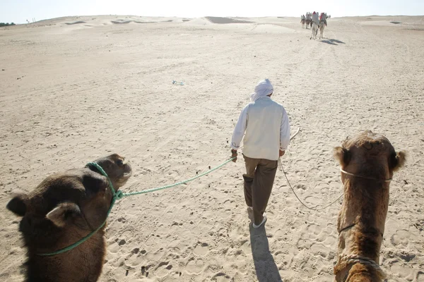 Walking Nomad — Stock Photo, Image