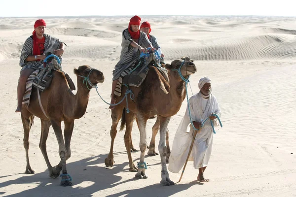 Beduin principaux touristes sur les chameaux — Photo