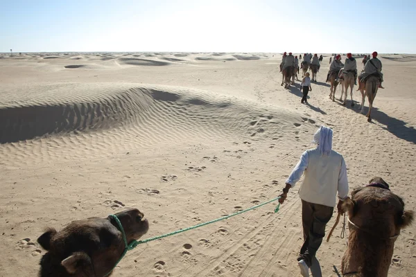 Nomad toonaangevende toeristen op kamelen — Stockfoto