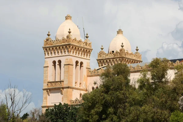 Catedral de San Luis en Túnez — Foto de Stock