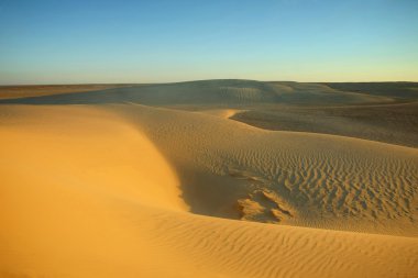 Dunes Sahra