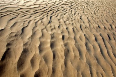 Tunus Sahara Çölü