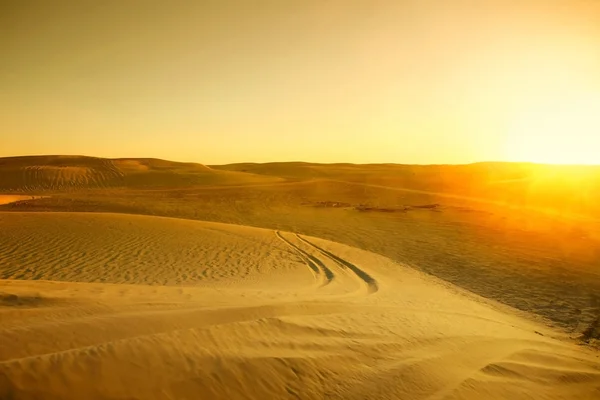 Traces in Sahara — Stock Photo, Image