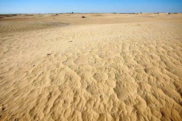 Dunas del Sahara — Foto de Stock