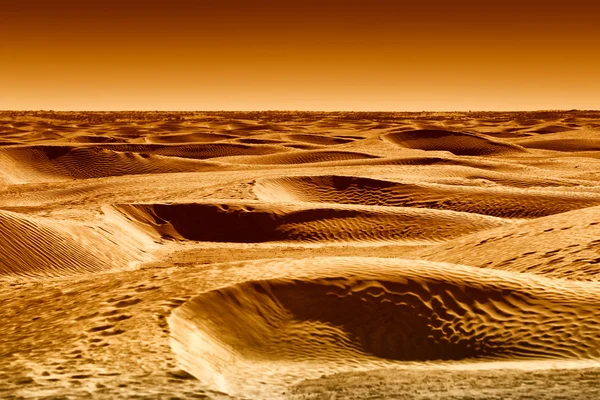 Dunas del desierto del Sahara al atardecer —  Fotos de Stock