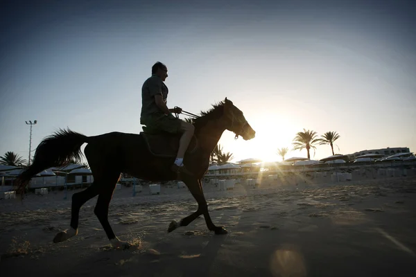 Man riding horse on beach — Stock Photo, Image