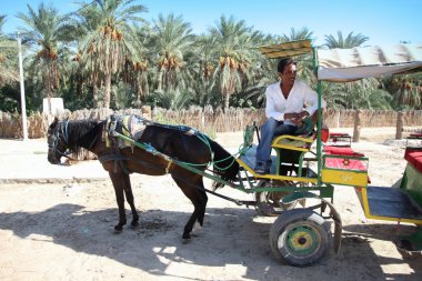 arabanın içinde oasis