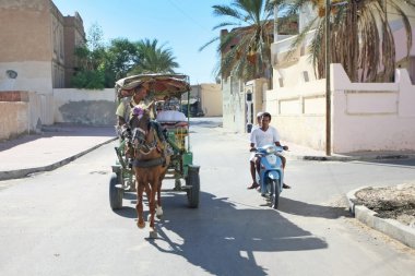 Vahada turistler