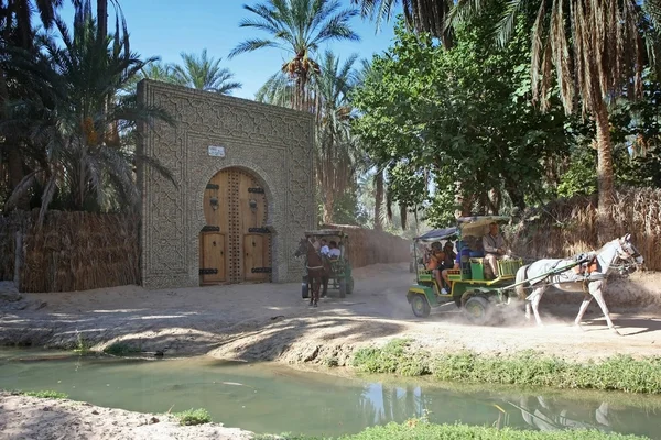 Tunisian oasis — Stock Photo, Image