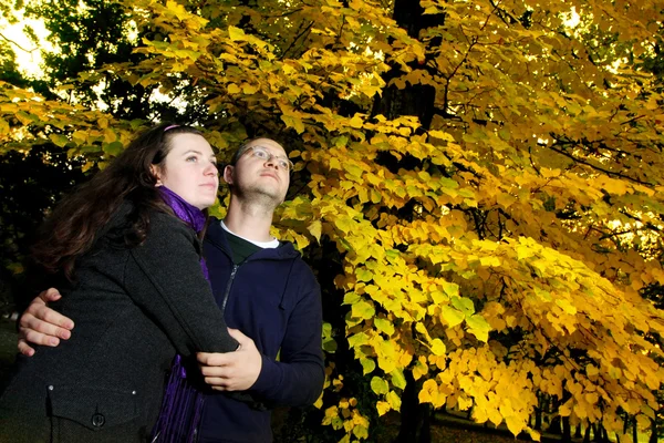 公園でカップルを抱きしめる — ストック写真