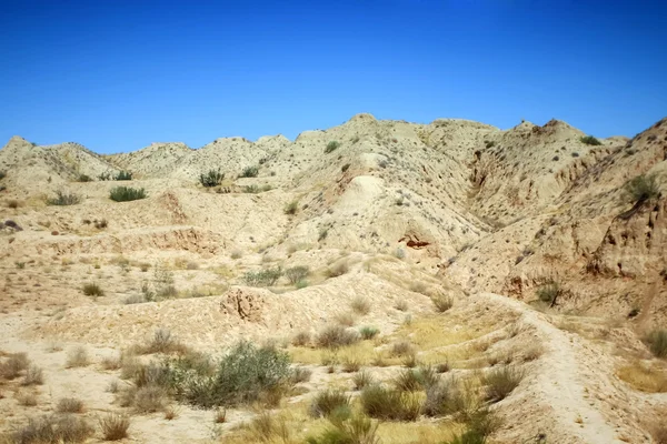 Skalista pustynia sahara — Zdjęcie stockowe