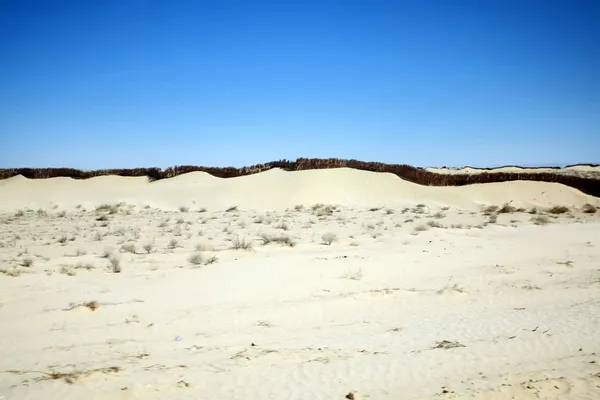 Zand muur in de sahara — Stockfoto