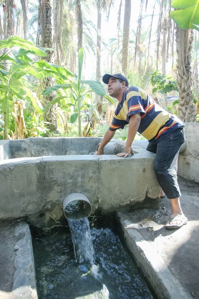 Suministro de agua en Tozeur oasis — Foto de Stock