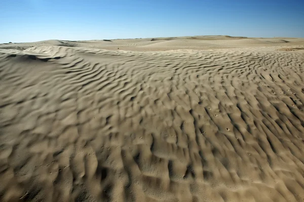 Dunas del desierto en Sahara — Foto de Stock