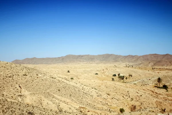 Desierto en el sur de Túnez — Foto de Stock