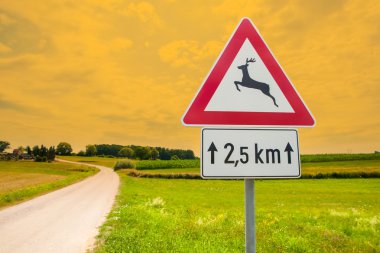 doğada geyik için trafik işaretleri