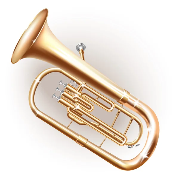 Cuerno de barítono clásico / Euphonium tuba — Vector de stock