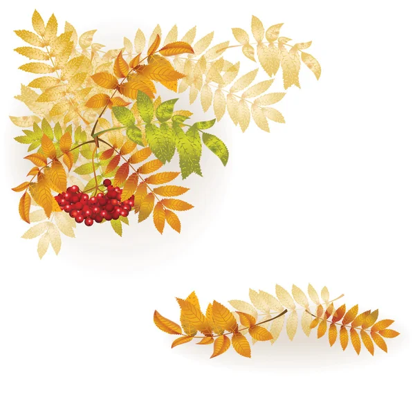 Herbst Hintergrund mit gelben Blättern und einem Bund Vogelbeeren — Stockvektor